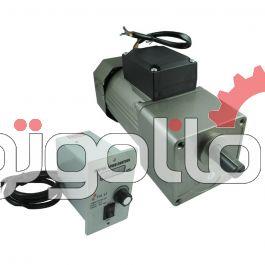 موتورگیربکس تک فاز دور متغیر دیجیتال 60 وات 7 دور بر دقیقه، گیربکس نسبت 200، ساخت تایلی چین